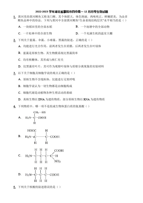 2022-2023学年湖北省襄阳市四中高一12月月考生物试题