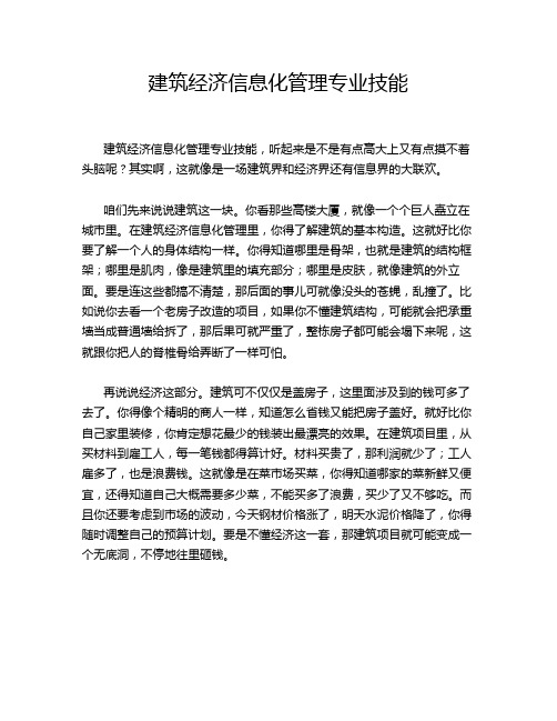 建筑经济信息化管理专业技能