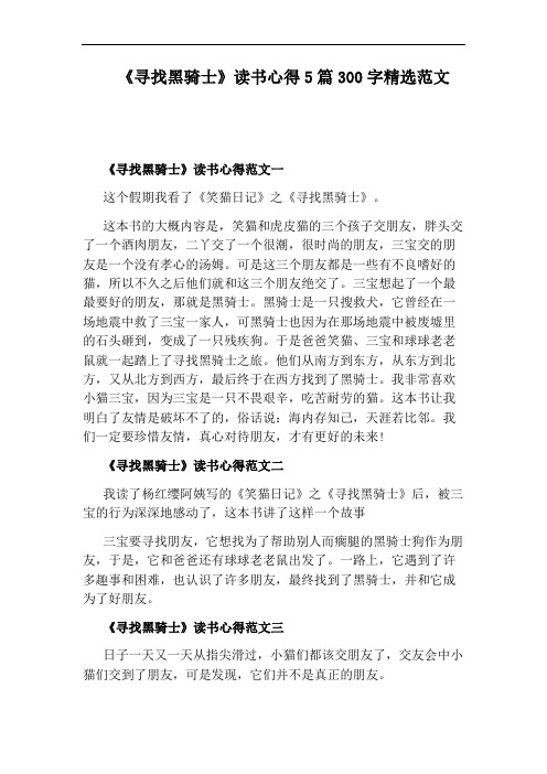 《寻找黑骑士》读书心得5篇300字精选范文