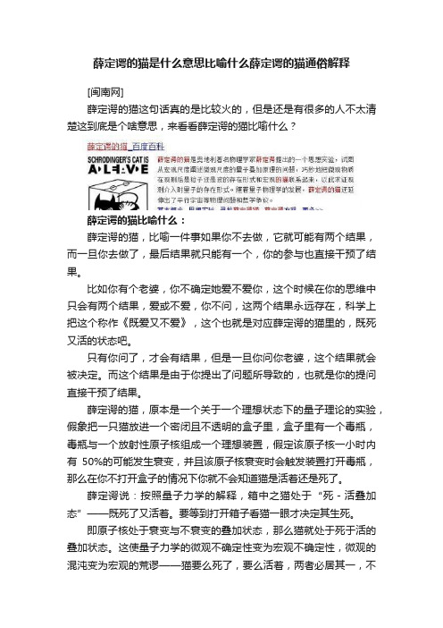 薛定谔的猫是什么意思比喻什么薛定谔的猫通俗解释