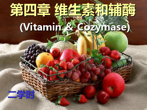 生物化学——第四章 维生素与辅酶60