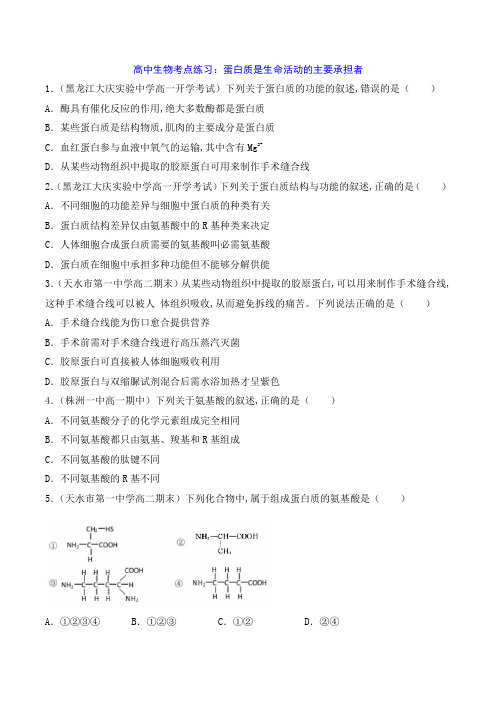 高中生物考点练习：蛋白质是生命活动的主要承担者