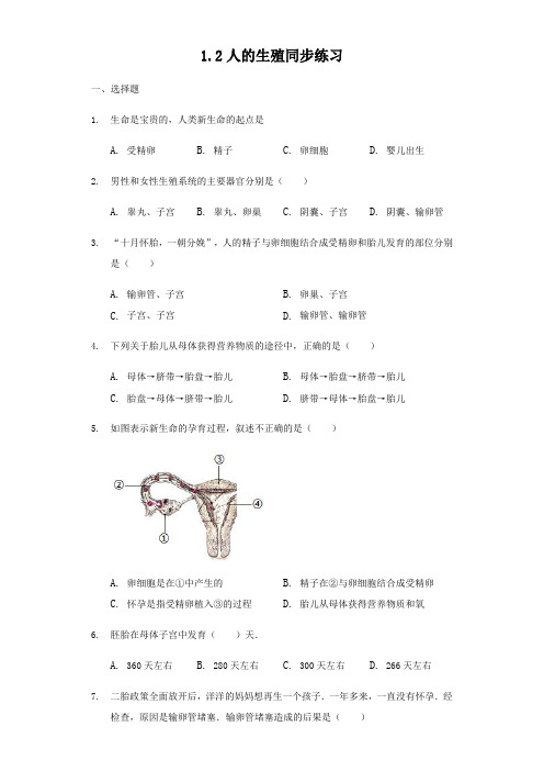 人教版七年级下册生物1.2人的生殖同步练习