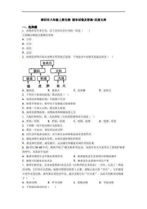 深圳市八年级上册生物 期末试卷及答案-百度文库