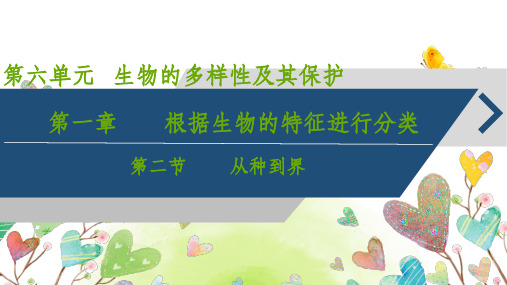 6.1.2从种到界课件人教版八年级上册【04】