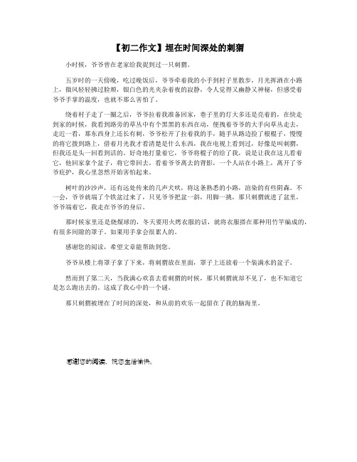 【初二作文】埋在时间深处的刺猬
