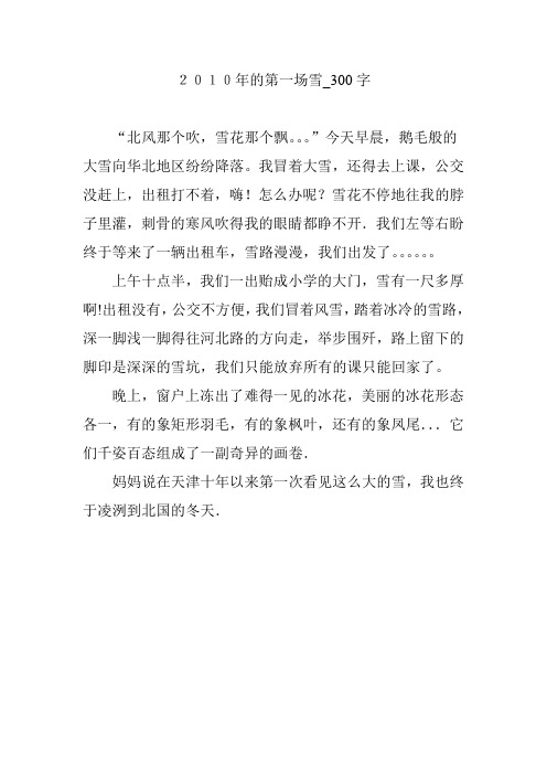 2010年的第一场雪_300字