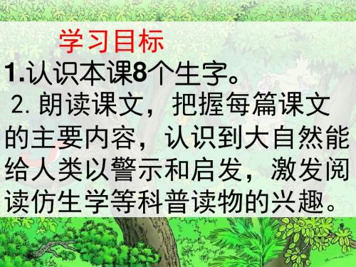 语文人教版四年级下册12 大自然的启示