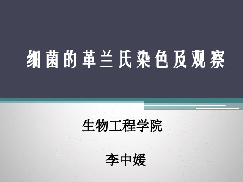 细菌的革兰氏染色及观察