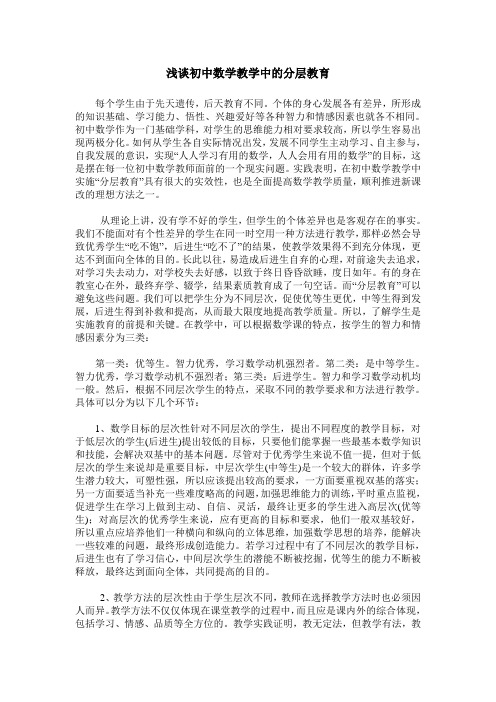 浅谈初中数学教学中的分层教育