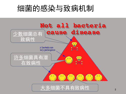 正常菌群和机会致病菌