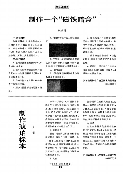 制作琥珀标本