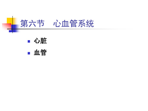 心血管系统  家禽解剖课件