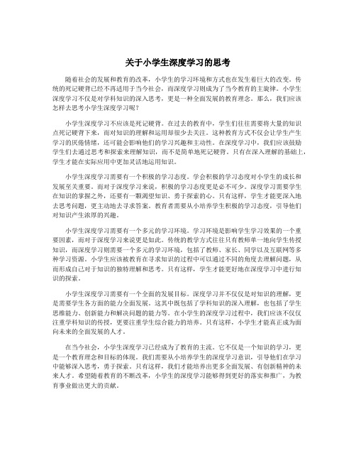 关于小学生深度学习的思考