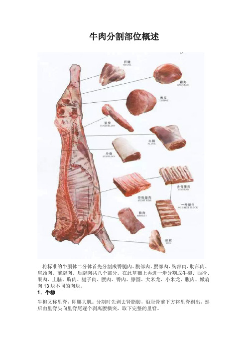 牛肉分割部位概述