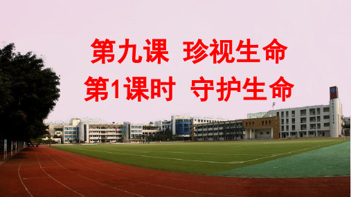 2019年秋七年级道德与法治上册课件：9.1 守护生命 (共45张PPT)