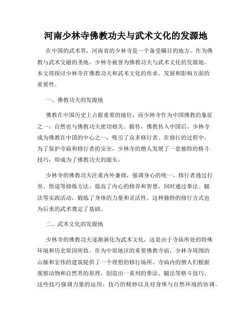 河南少林寺佛教功夫与武术文化的发源地