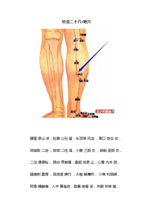 针灸二十八·绝穴