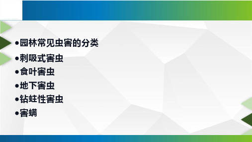 园林常见虫害的识别和防治图文详解