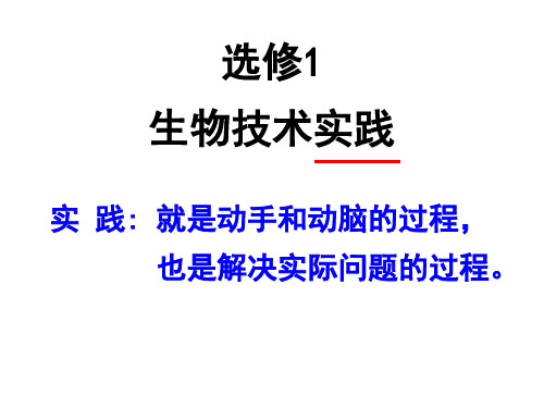 课题1 果酒和果醋的制作