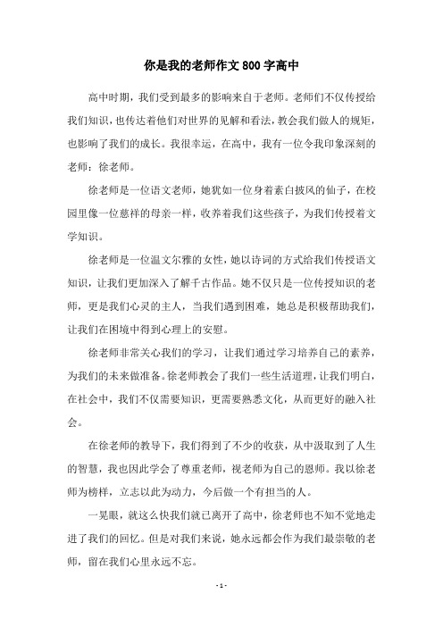 你是我的老师作文800字高中