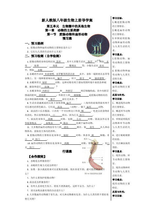 新人教版八年级上册生物导学案及答案