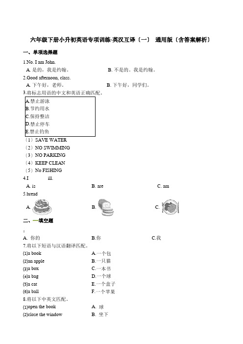 小升初专项训练之英汉互译(一)  (含答案解析)  通用版