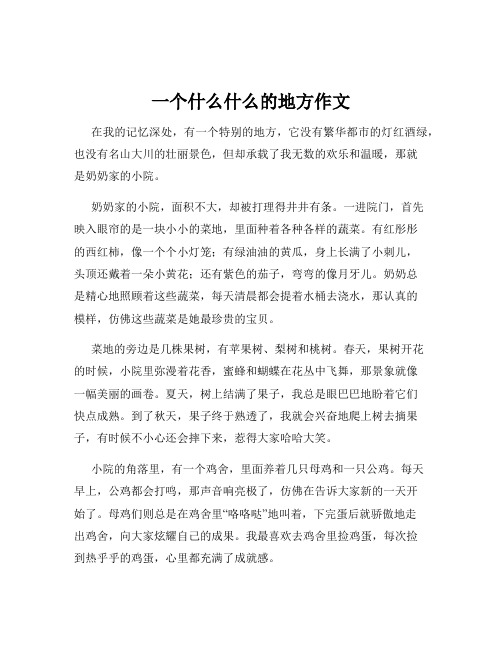 一个什么什么的地方作文