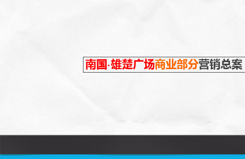 南国雄楚广场商业部分营销总案