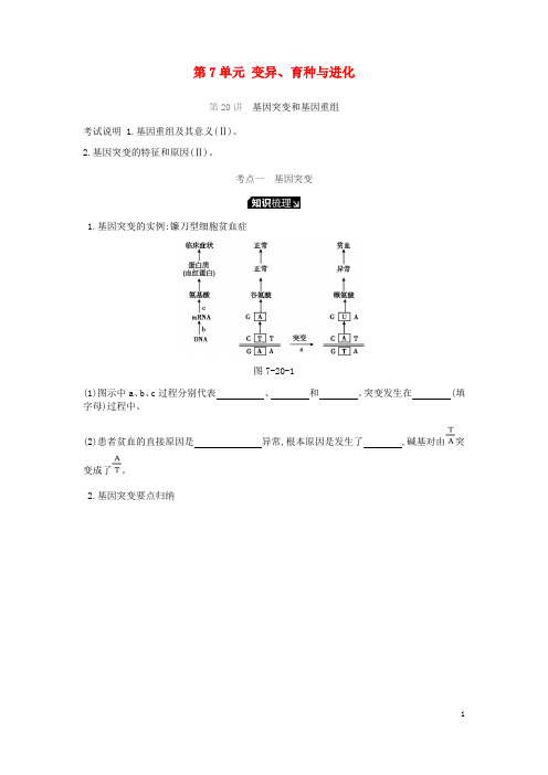 (人教版)2020届高考生物一轮复习 第7单元 变异、育种与进化听课学案