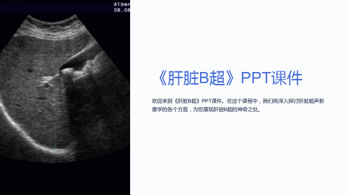 《肝脏B超》课件