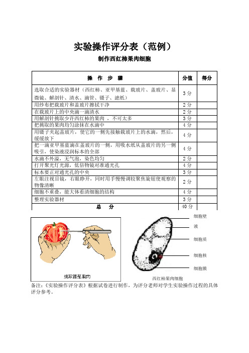 实验操作评分表范例