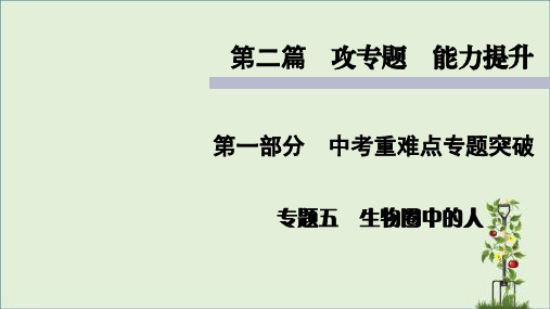 人教版初中生物中考复习 专题 生物圈中的人