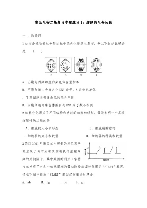 [精品]新高三生物二轮复习专题训练1细胞的生命历程及答案