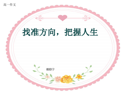 高一作文《找准方向,把握人生》800字(共11页PPT)