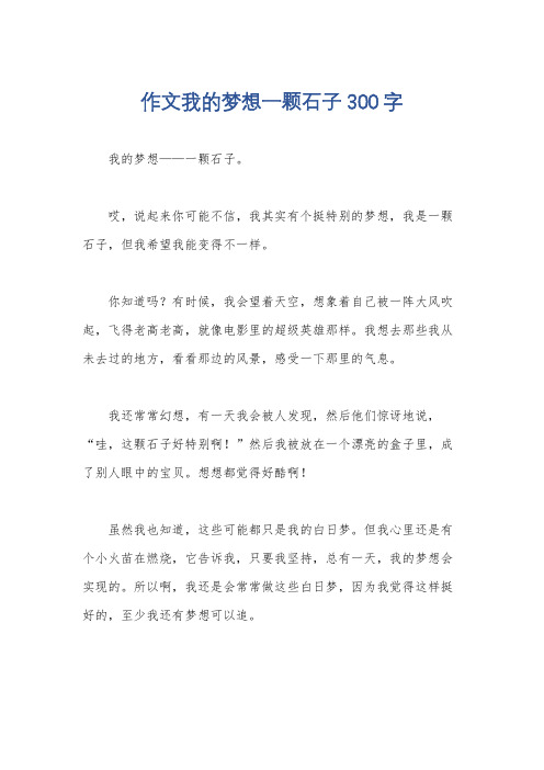 作文我的梦想一颗石子300字