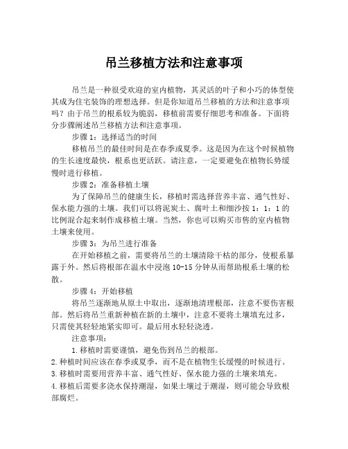 吊兰移植方法和注意事项