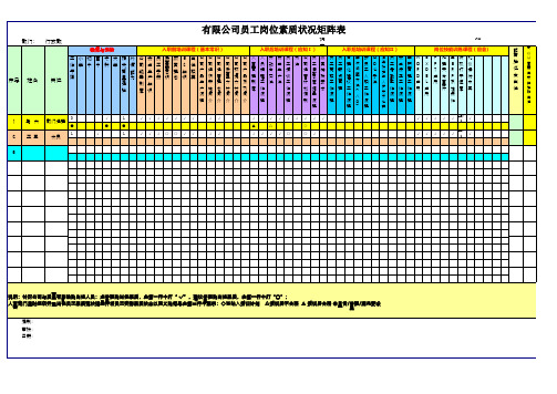 员工岗位素质矩阵表样板