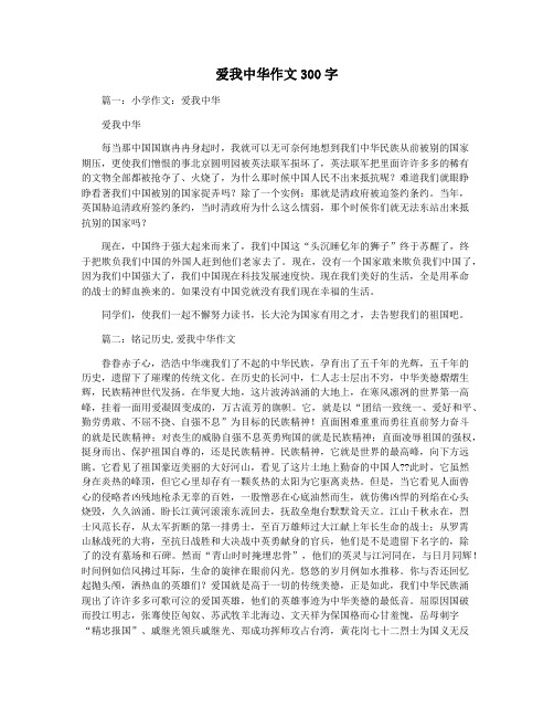 爱我中华作文300字