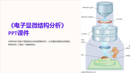 《电子显微结构分析》课件