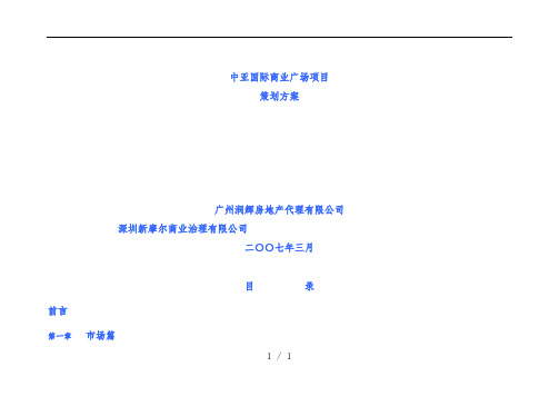 国际商业广场项目规划方案