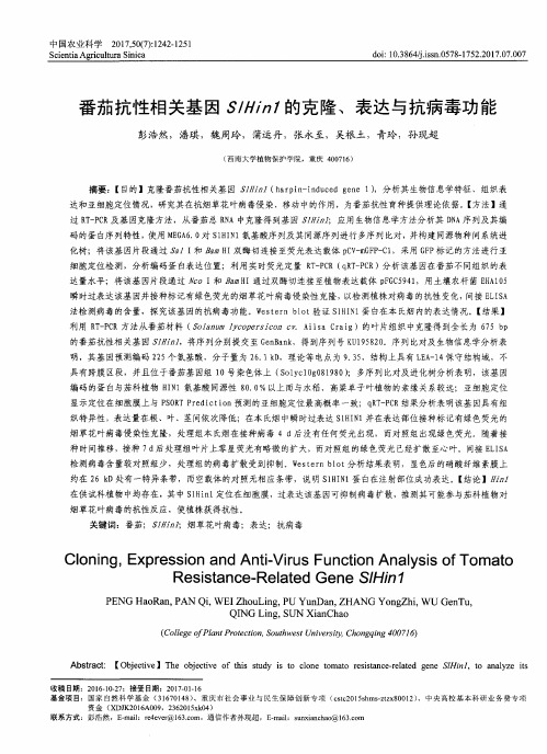 番茄抗性相关基因SlHin1的克隆、表达与抗病毒功能