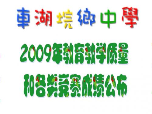 2009年中小学各类成绩