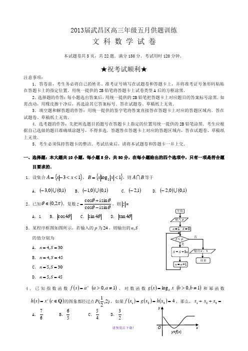 2013武汉市武昌区高三五月供题训练数学(文)试题及答案(Word)