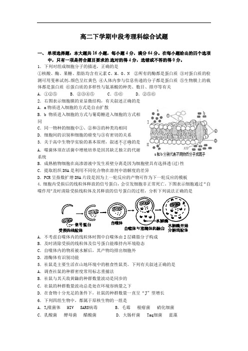 湛江第一中学2013-2014学年高二下学期中考试生物试题及答案段考