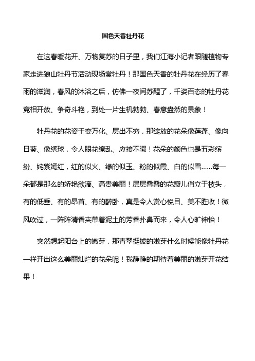 狼山牡丹节江海小记者征文比赛——国色天香的牡丹花