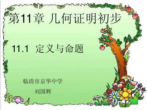 11.1定义与命题