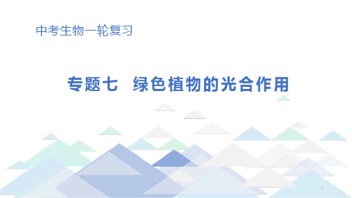 初中生物中考总复习课件：专题7 绿色植物的光合作用