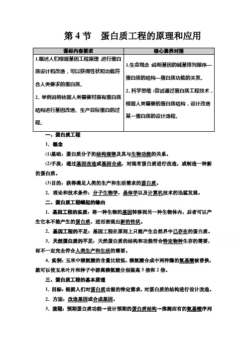 (教学指导)  蛋白质工程的原理和应用Word版含解析