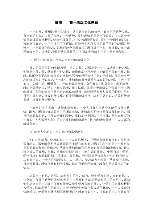 班魂——高一班级文化建设